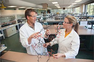 Fundamental sciences